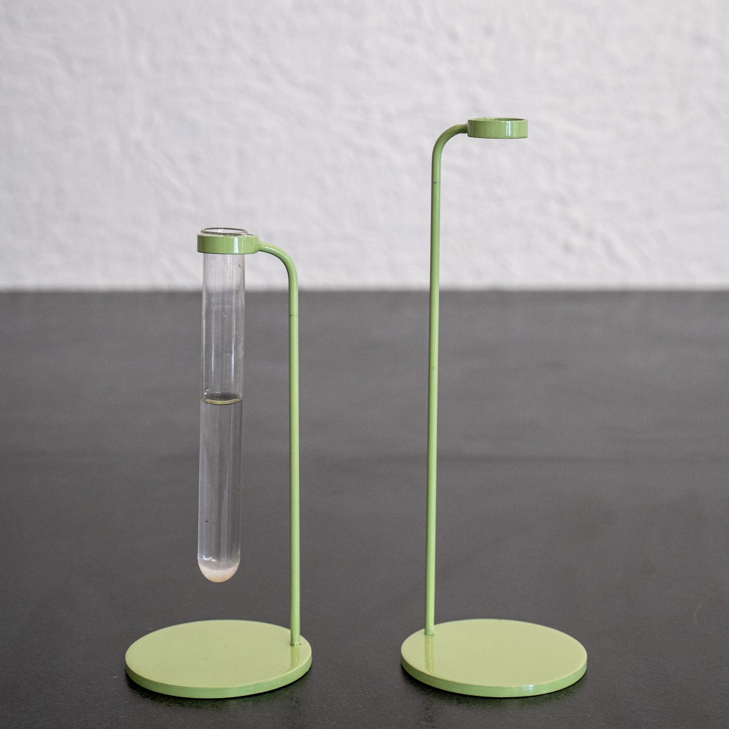 Bud Test Tube Vase