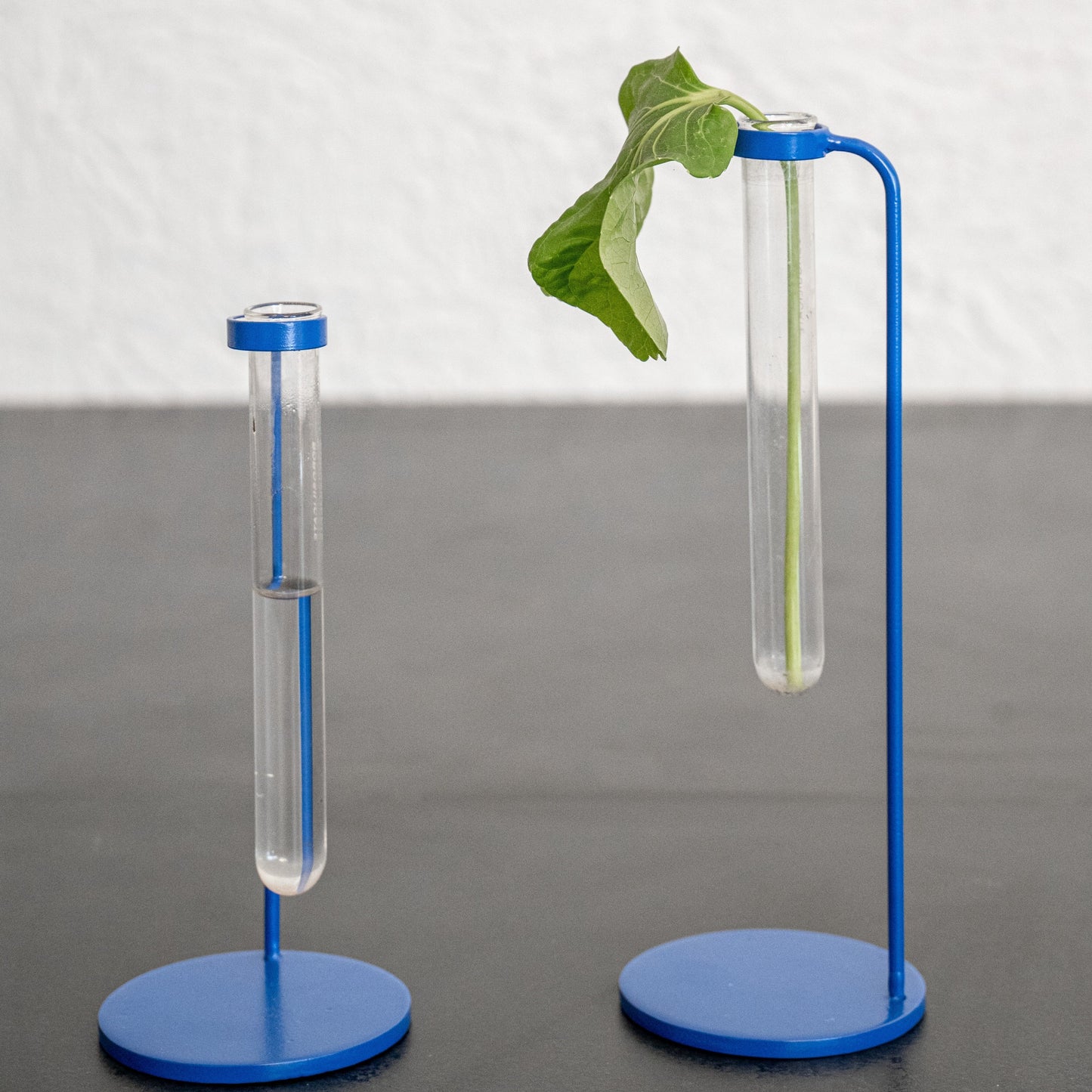 Bud Test Tube Vase